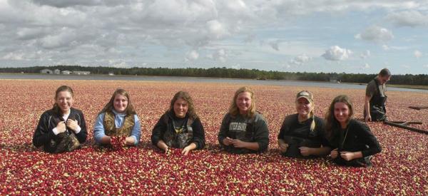 A small group of college-aged students standing in a cranberry bog.