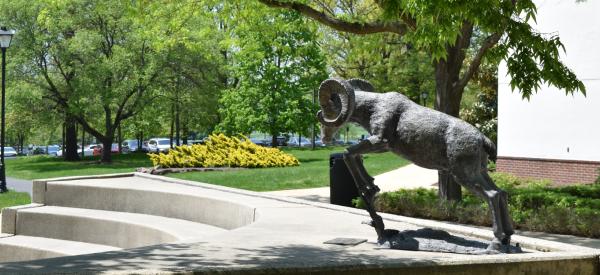 Ram statue outside of the student center.