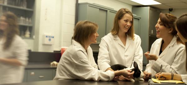 A professor and a small group of students wearing lab coats examine a rabbit.