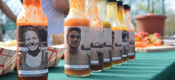 hot sauce bottles lined up with students on the bottle labels