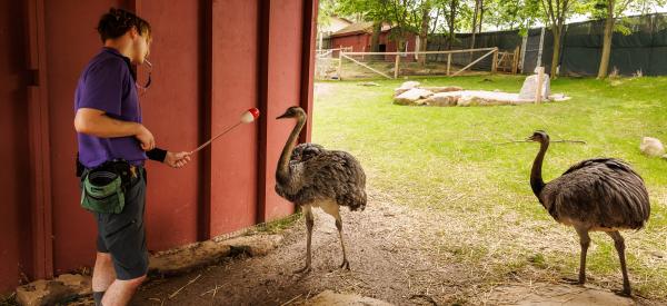 DelVal Zoo Science