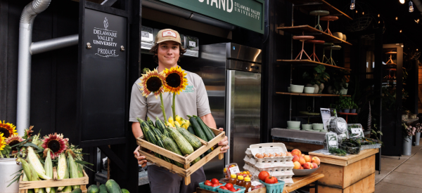 A man is working at the farm stand at Terrain at DelVal, surrounded by produce, as well as a wooden crate of produce in his hands.