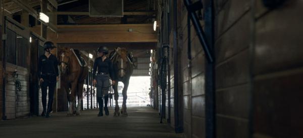 Equine students are walking horses through the equine barn. 