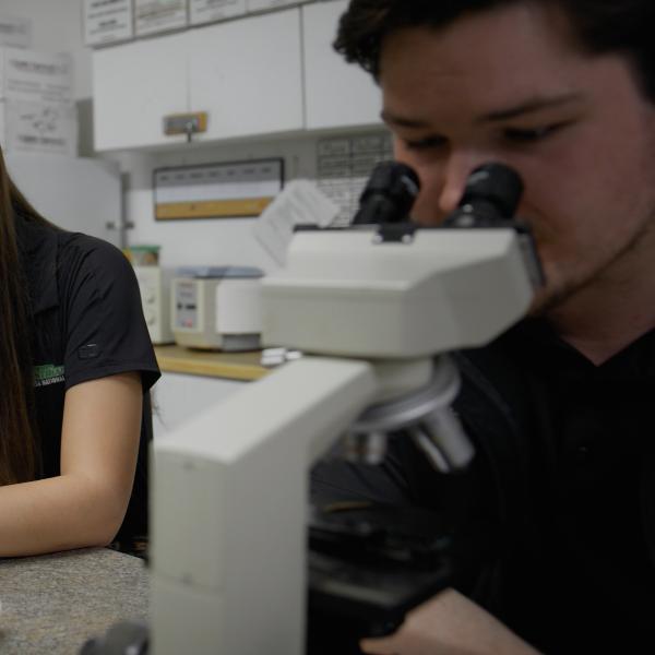 A male student is using a microscope in the equine lab. 