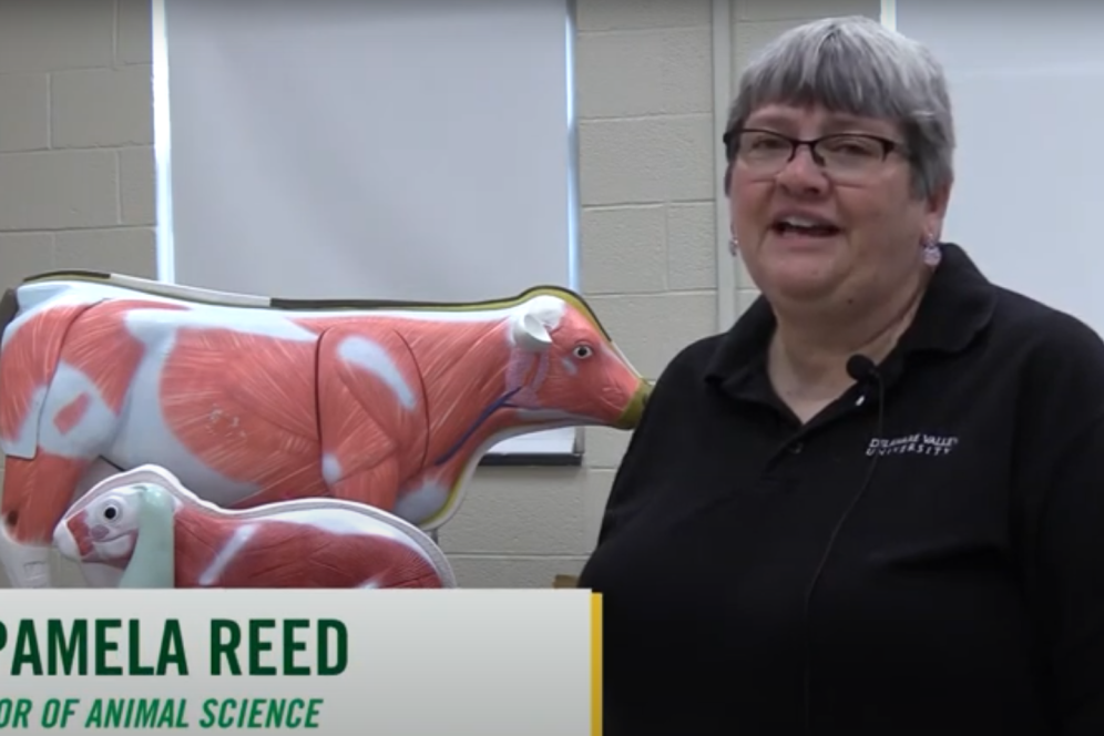 Dr. Pam Reed, explains the animal science program in front of a models showing the muscles of a cow and a rabbit. 