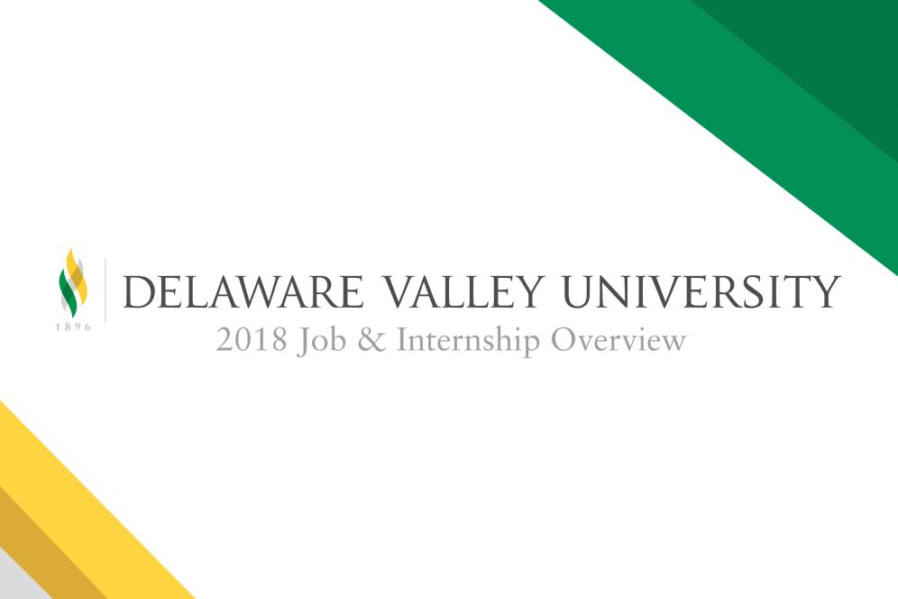 2018 Job & Internship Overview