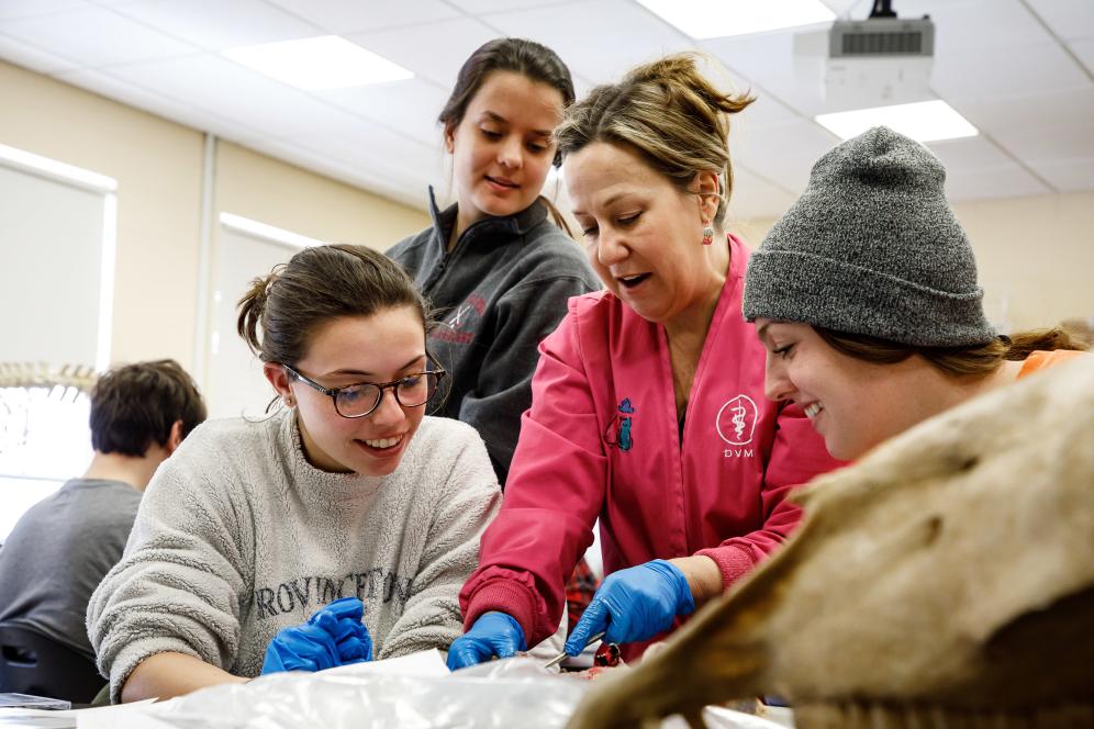 Three students are in class with a professor doing an anatomy demonstration.